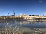 imagen de la galería de Guías Zamora, Ruta Zamora Románica