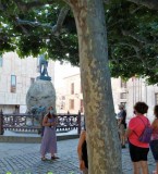 imagen de la galería de Guías Zamora, Ruta Zamora Románica