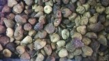 imagen de la galería de Frutería FRUTILANDIA