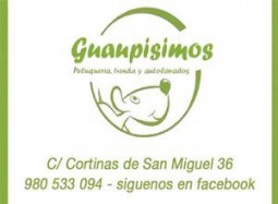 guaupisimos