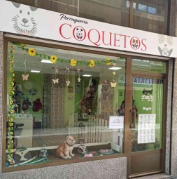 perruqueria-coquetos